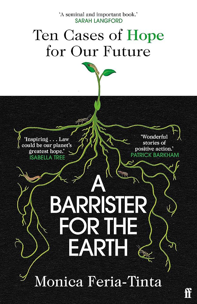 A Barrister for the Earth: Ten Cases of Hope for Our Future (Paperback)