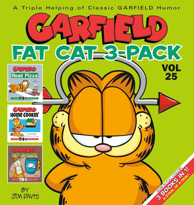 Garfield Fat Cat 3-Pack Volume 25 (Paperback)