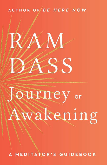 Journey of Awakening (Trade Paperback)