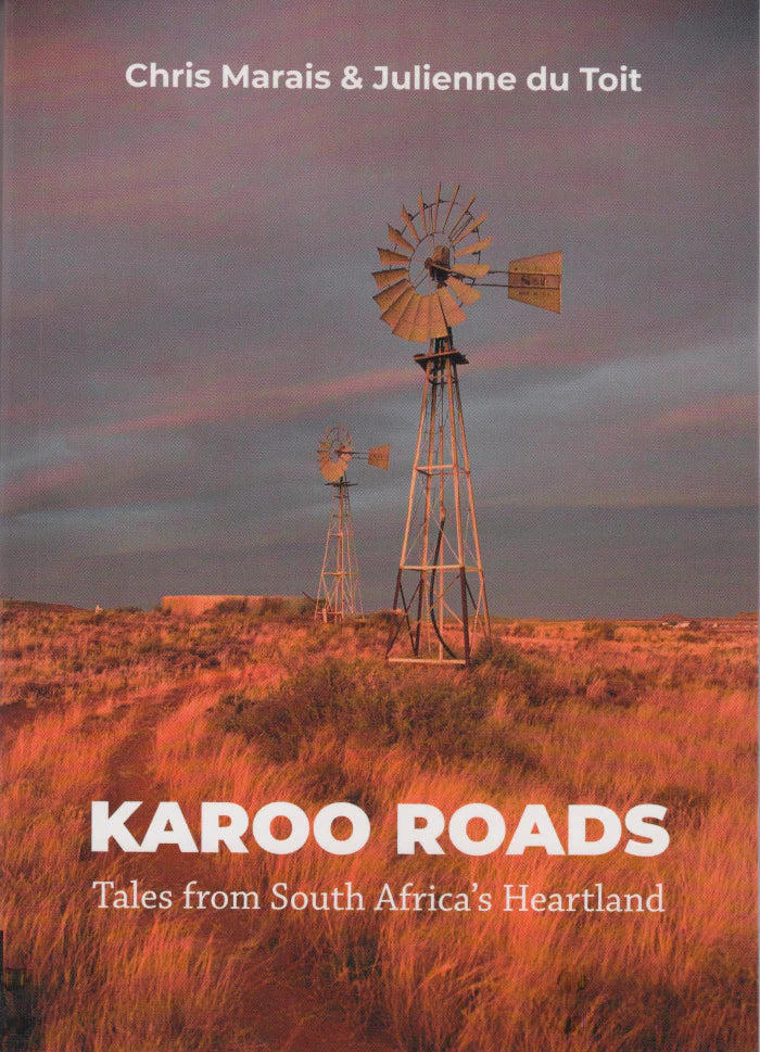 Karoo Roads I (Paperback)