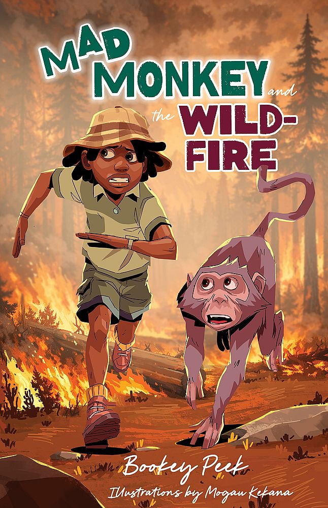 Mad Monkey and the Wildfire (Paperback)