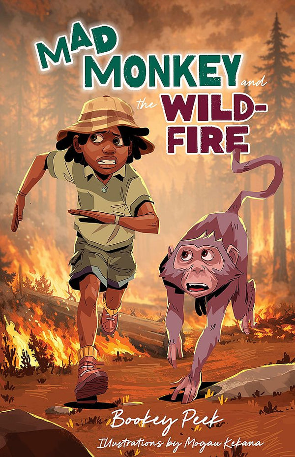 Mad Monkey and the Wildfire (Paperback)