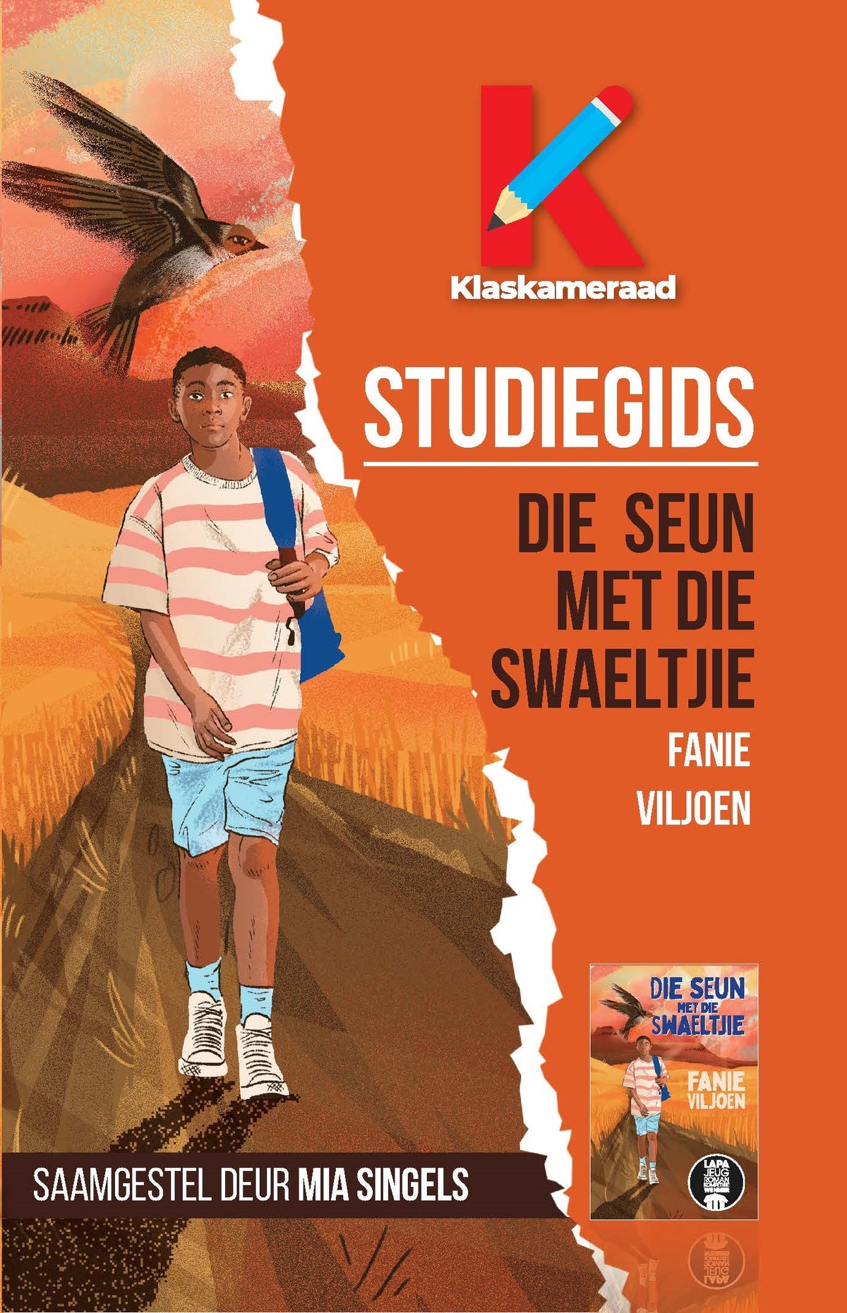 Studiegids: Die Seun Met Die Swaeltjie (Paperback)