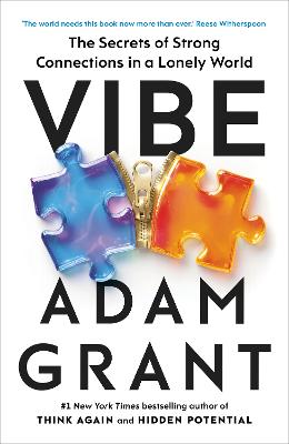 Vibe: The Secrets of Strong Connections in a Lonely World