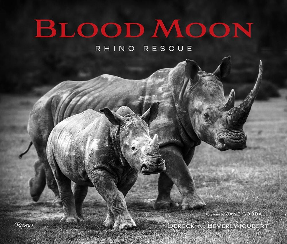 Blood Moon : Resuceing The Rhino (Hardcover)