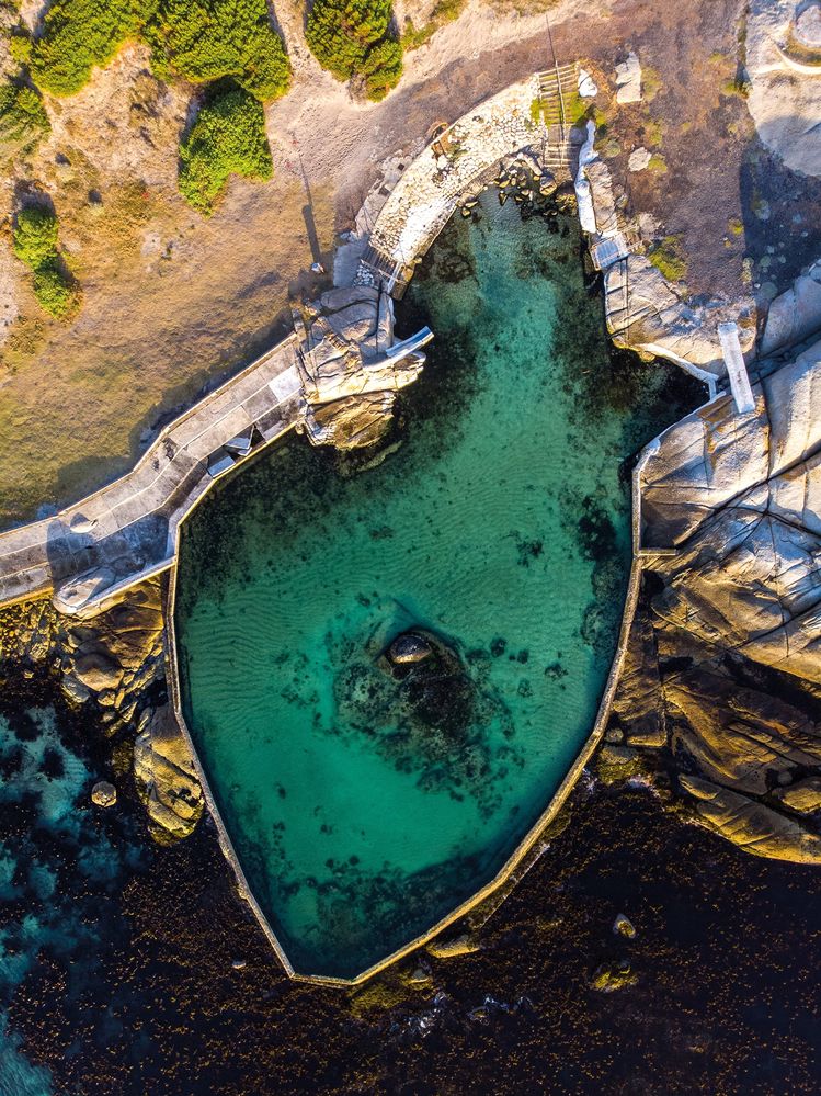 A Guide To Tidal Pools Of The Western Cape (Trade Paperback)