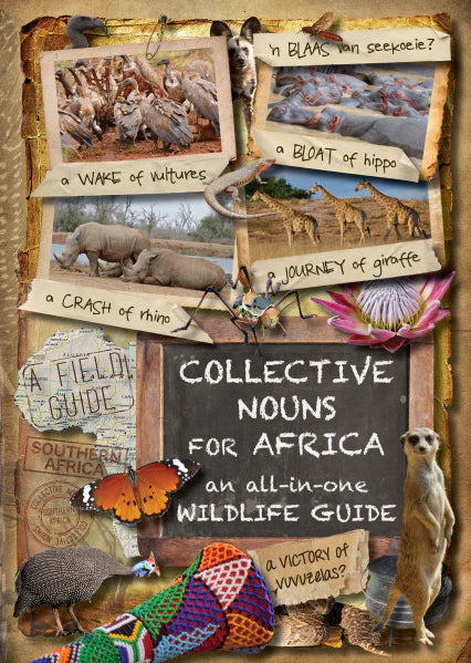 Collective Nouns For Africa - 2nd Edition (Paperback)