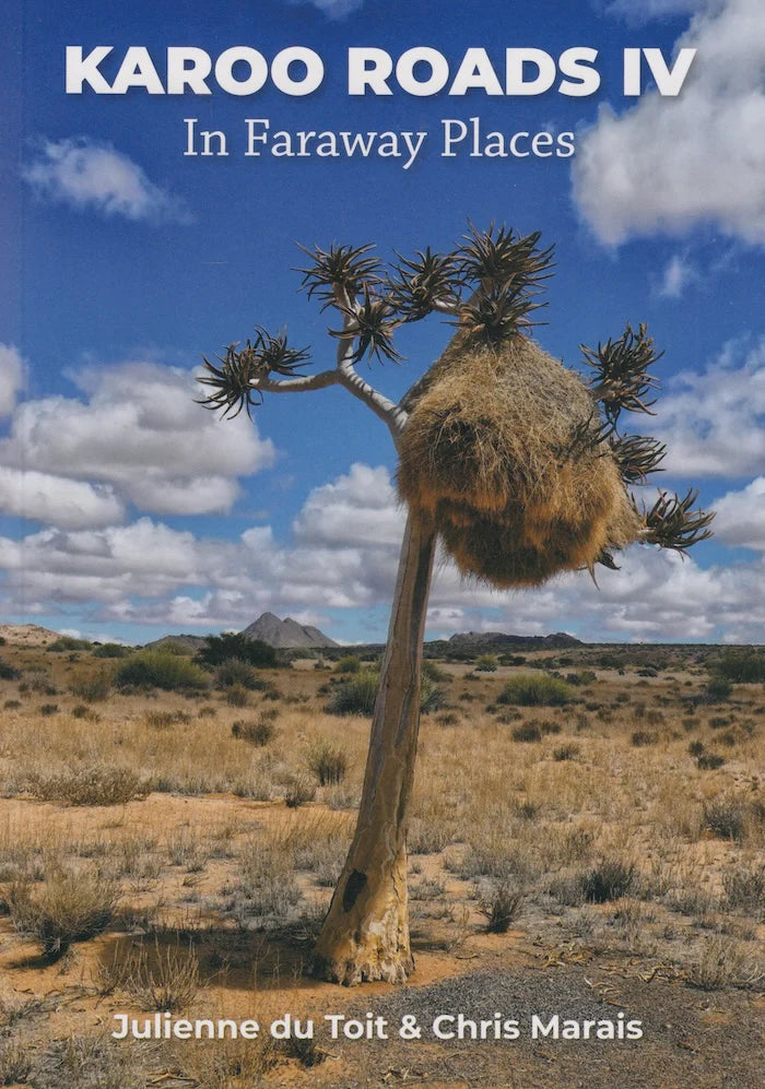 Karoo Road IV (Paperback)