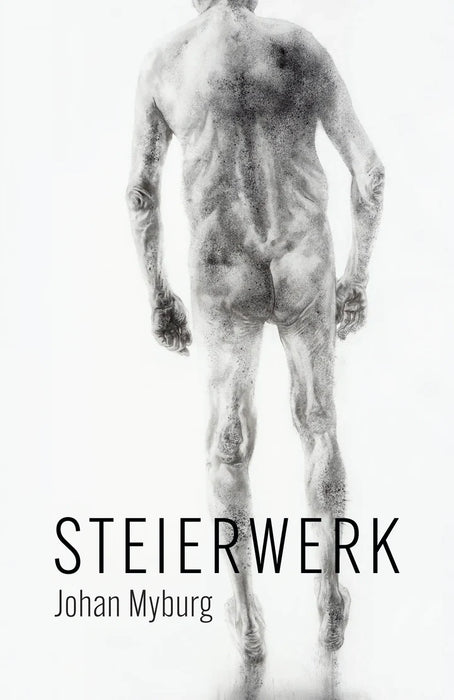 Steierwerk (Paperback)