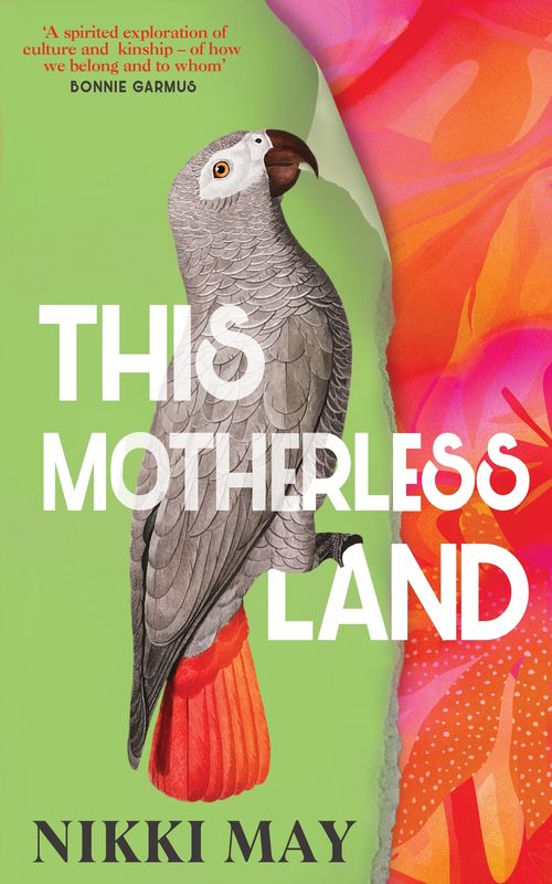 This Motherless Land (Paperback)