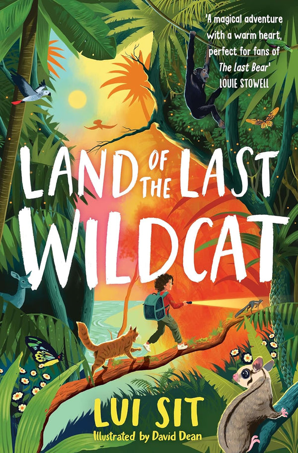 The Wildcat 1: Land of the Last Wildcat (Paperback)