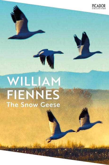 The Snow Geese (Paperback)