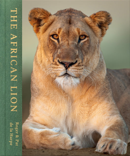 The African Lion (Hardcover)