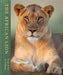 The African Lion (Hardcover)