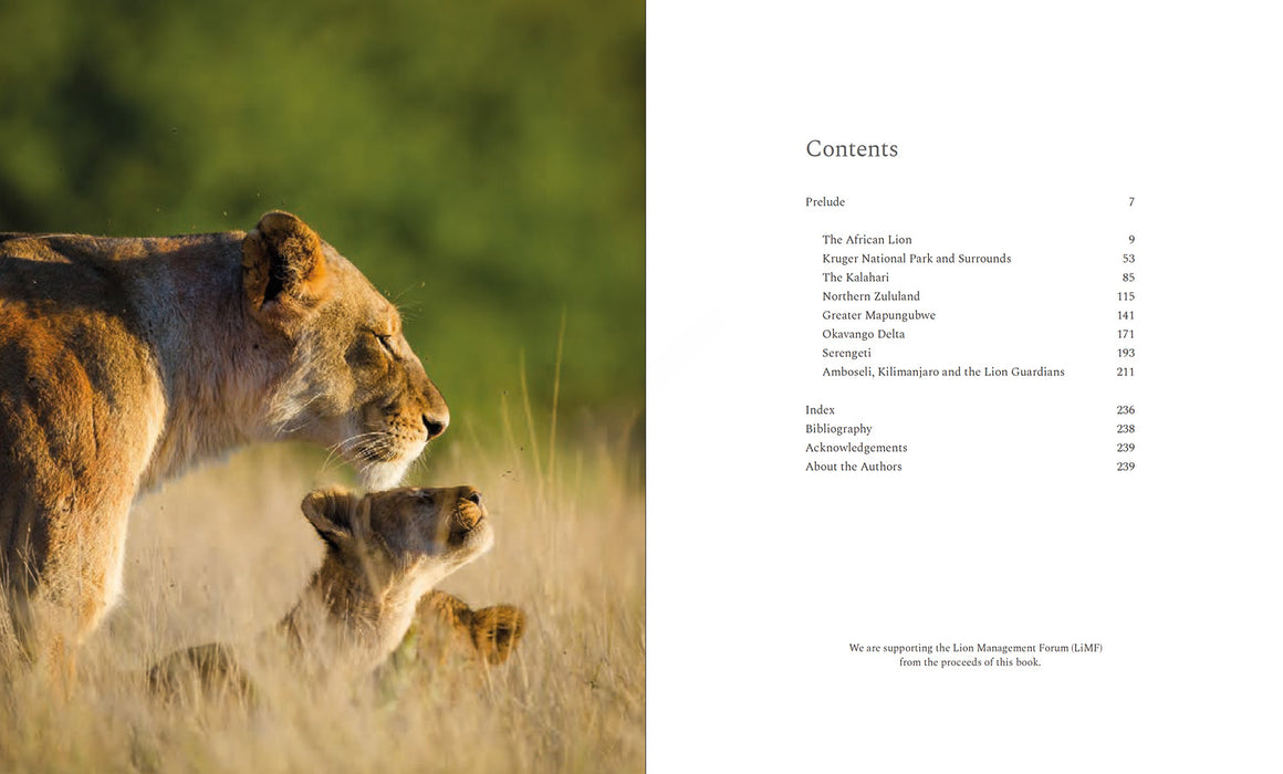 The African Lion (Hardcover)