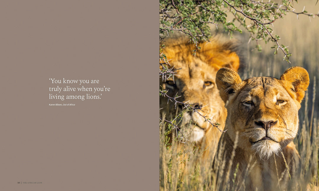 The African Lion (Hardcover)