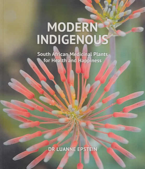 Modern Indigenous- South African Medicinal Plants (Hardcover)