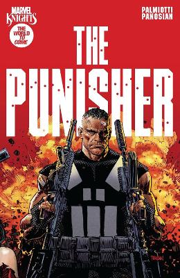 Marvel Knights: Punisher (Trade Paperback)