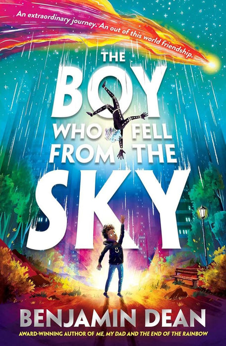 The Boy Who Fell From the Sky (Paperback)