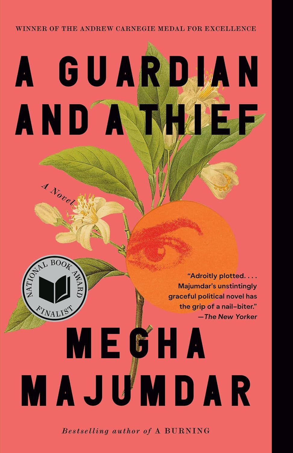 A Guardian and a Thief (Paperback)