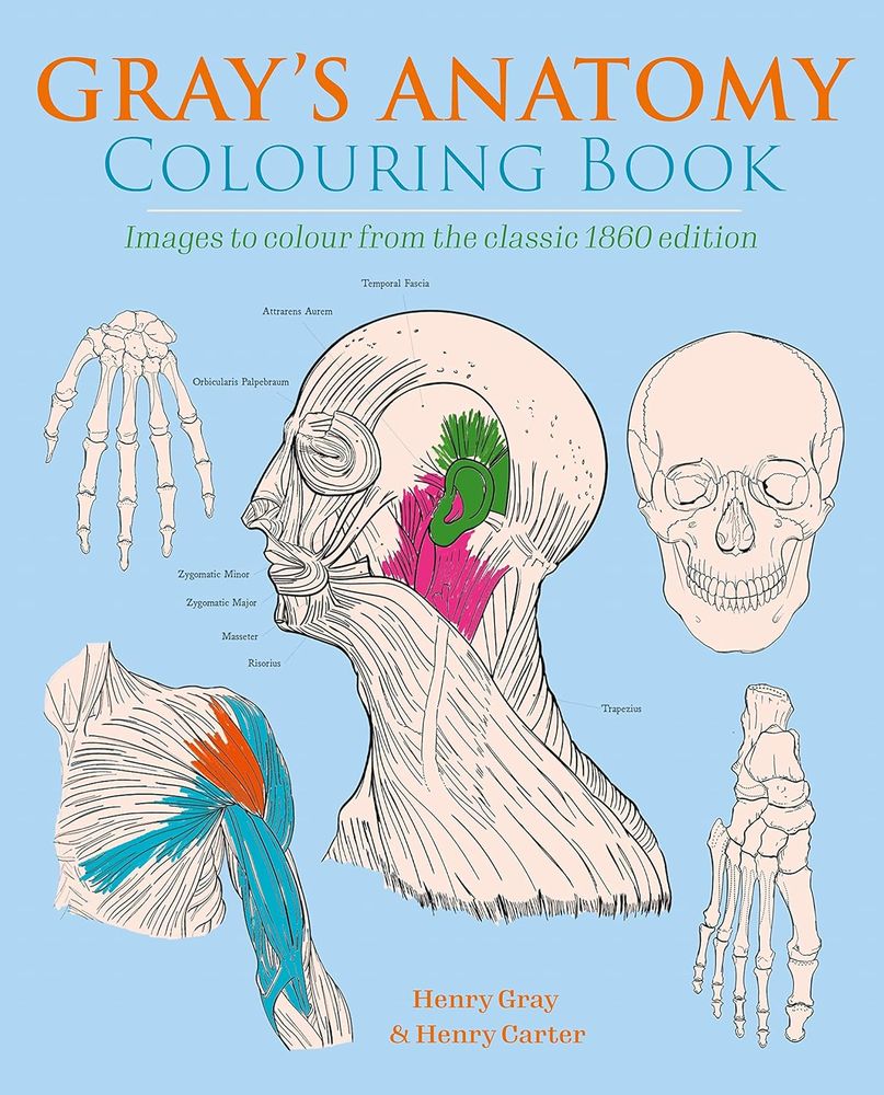 Gray's Anatomy Colouring Book