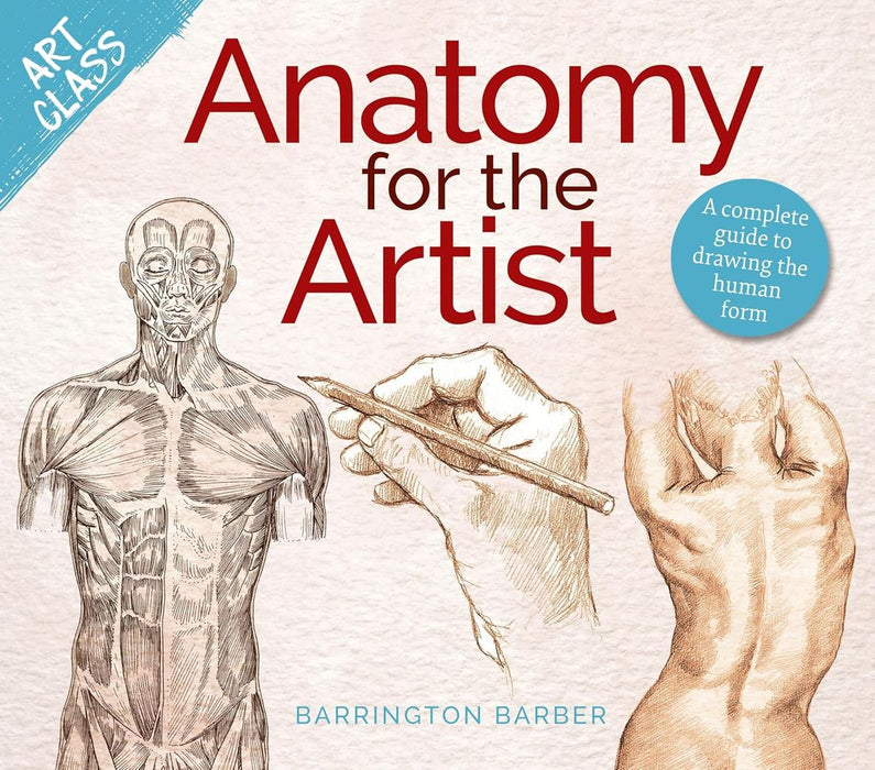 Art Class: Anatomy For The Artist (Paperback)