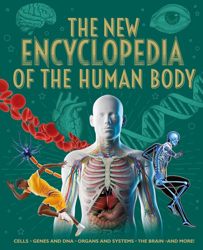 The New Encyclopedia Of The Human Body