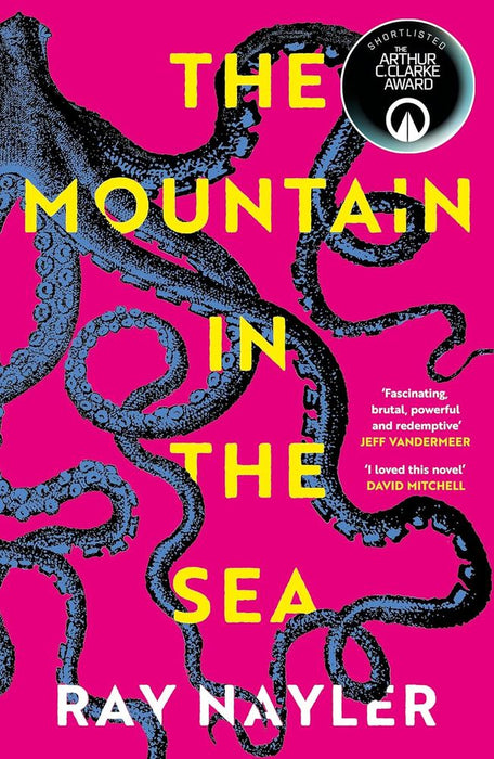 The Mountain In The Sea (Paperback)