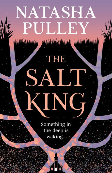 The Salt King (Trade Paperback)
