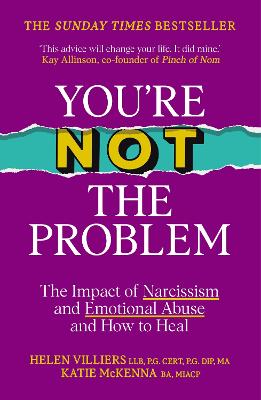 You’re Not the Problem (Paperback)