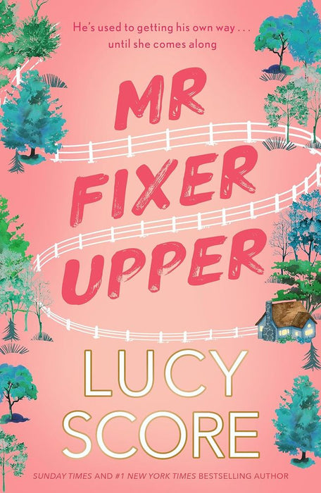 Mr Fixer Upper (Paperback)