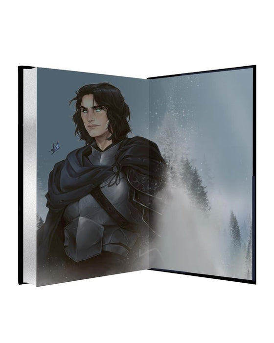 Quicksilver Special Edition (Hardcover)