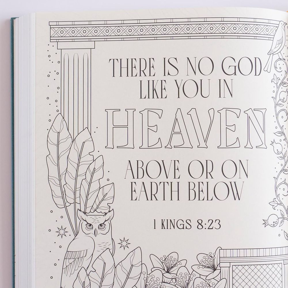 NIV Illuminated Bible (Hardback)