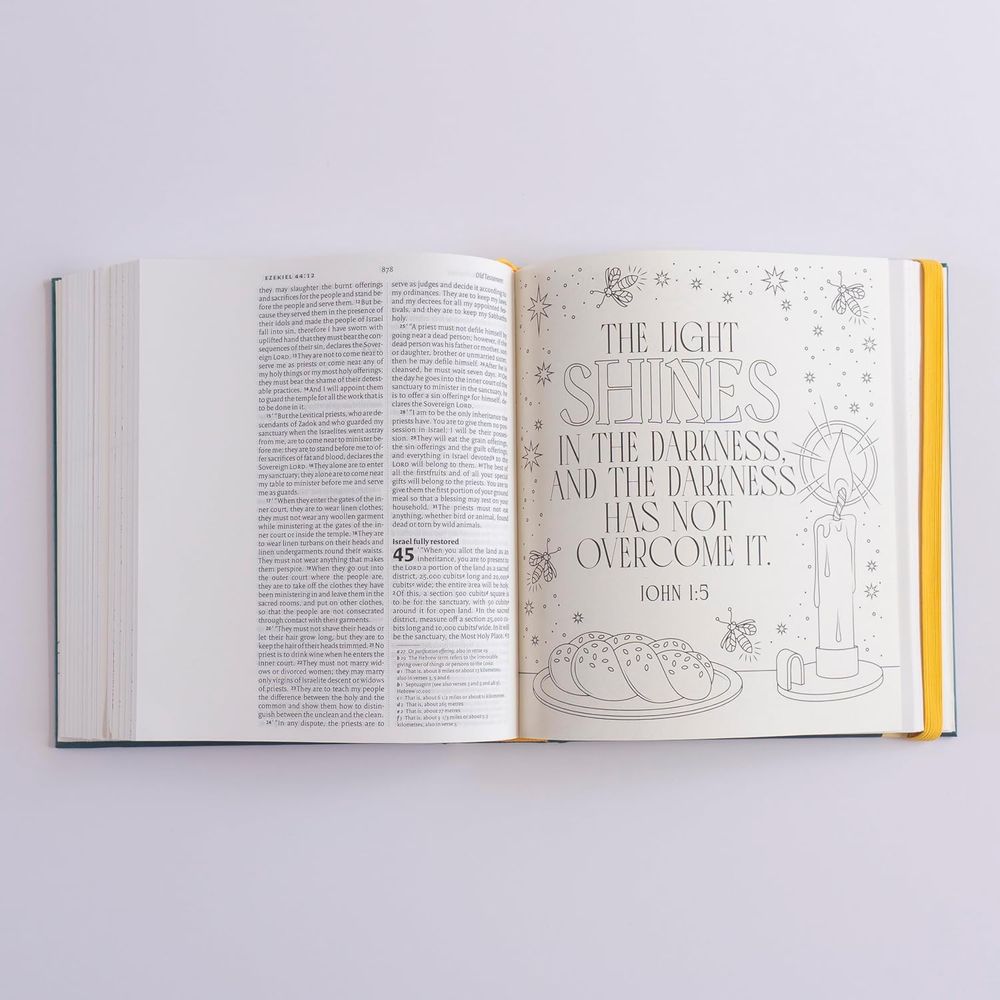 NIV Illuminated Bible (Hardback)