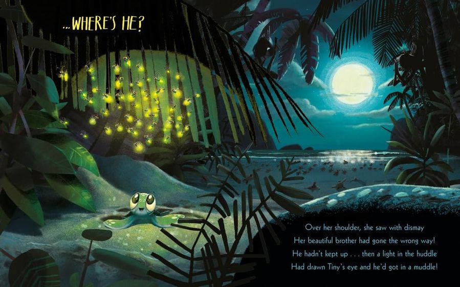 The Turtle Who Turned the Tide (Hardcover)