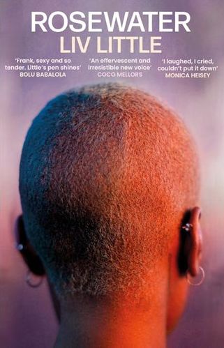 Rosewater (Trade Paperback)