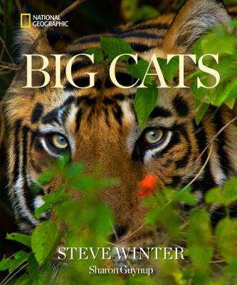 Big Cuts (Hardcover)