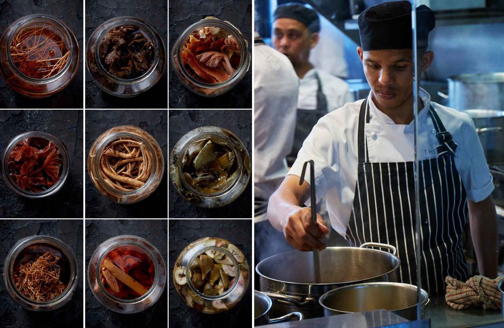 The Test Kitchen (Hardcover)