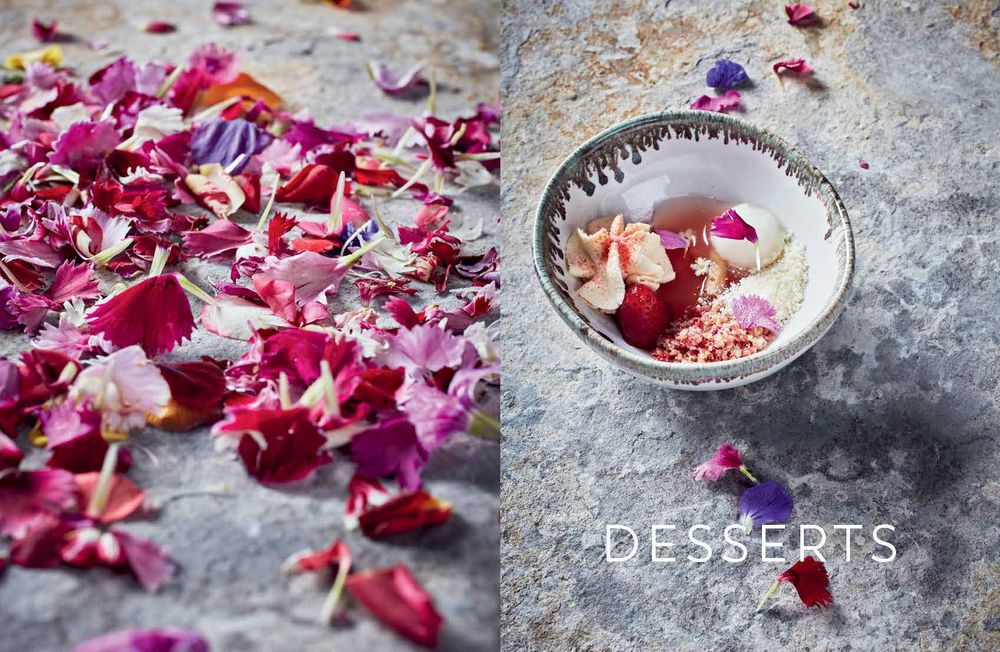 The Test Kitchen (Hardcover)