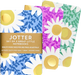 Jotter Set Of 3 Notebooks: Daisies (Paperback)