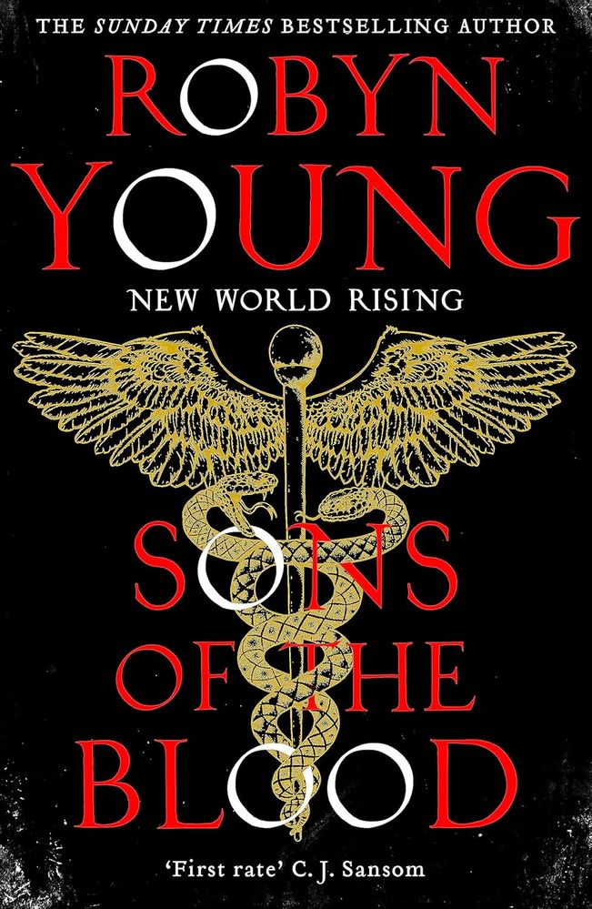 New World Rising 1: Sons of the Blood (Paperback)