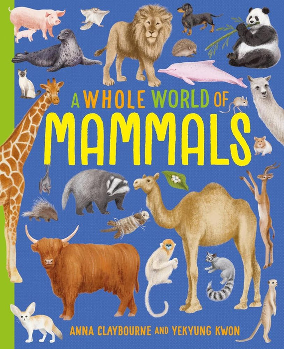 A Whole World Of: Mammals (Paperback)