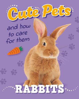 Cute Pets & How to Care For Them Rabbits
