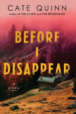 Before I Disappear