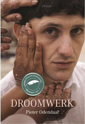 Droomwerk (Paperback)