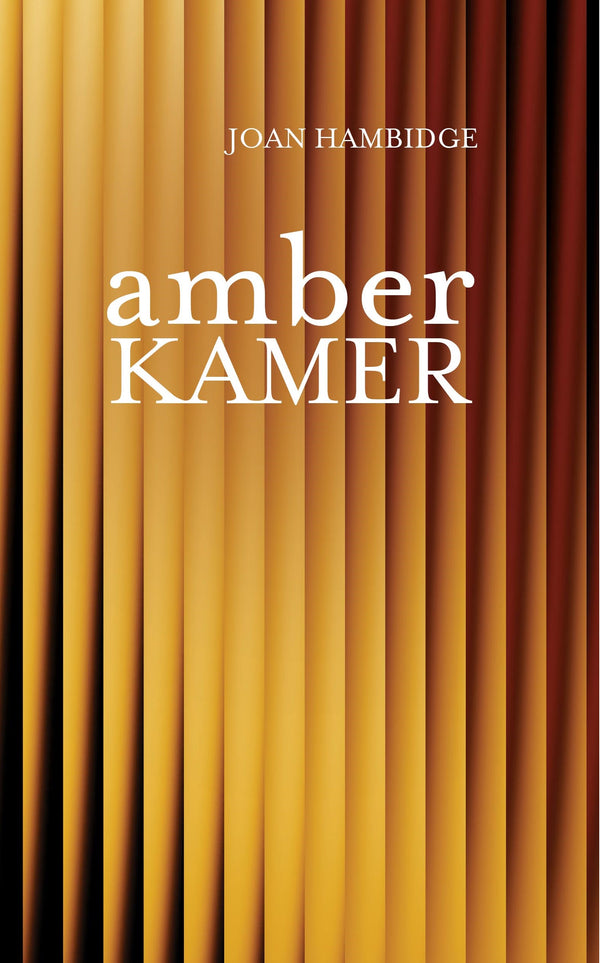 Amberkamer: Gedigte Uit Die 21st Eeu (Paperback)