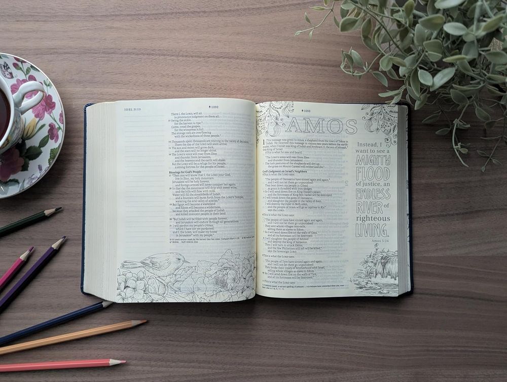 Inspire Bible NLT Navy Faux Leather