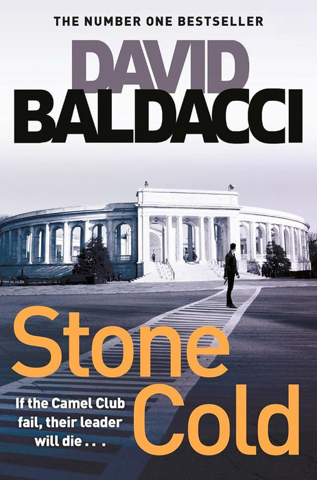 Stone Cold (Paperback)