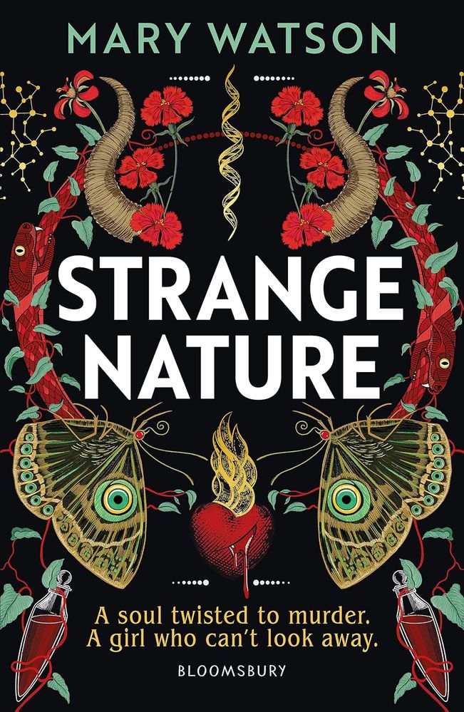 Strange Number (Paperback)