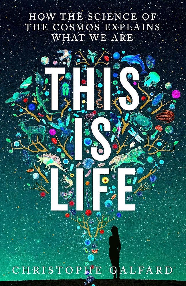 This Is Life